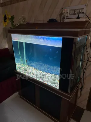 Large Fish Aquarium