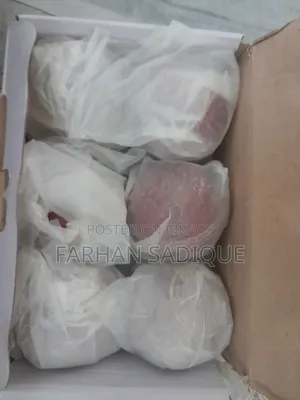 নতুন ক্রিকেট বল বিক্রয় হবে