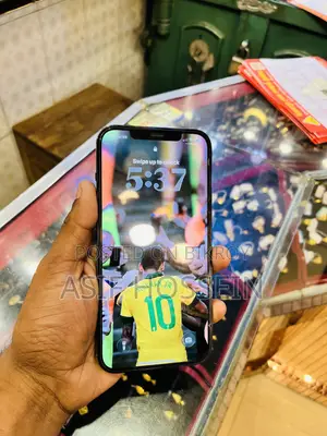 Apple iPhone 12 Pro Max 256 GB Blue