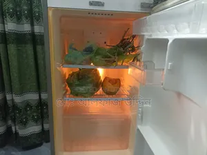 Lg Refrigerator