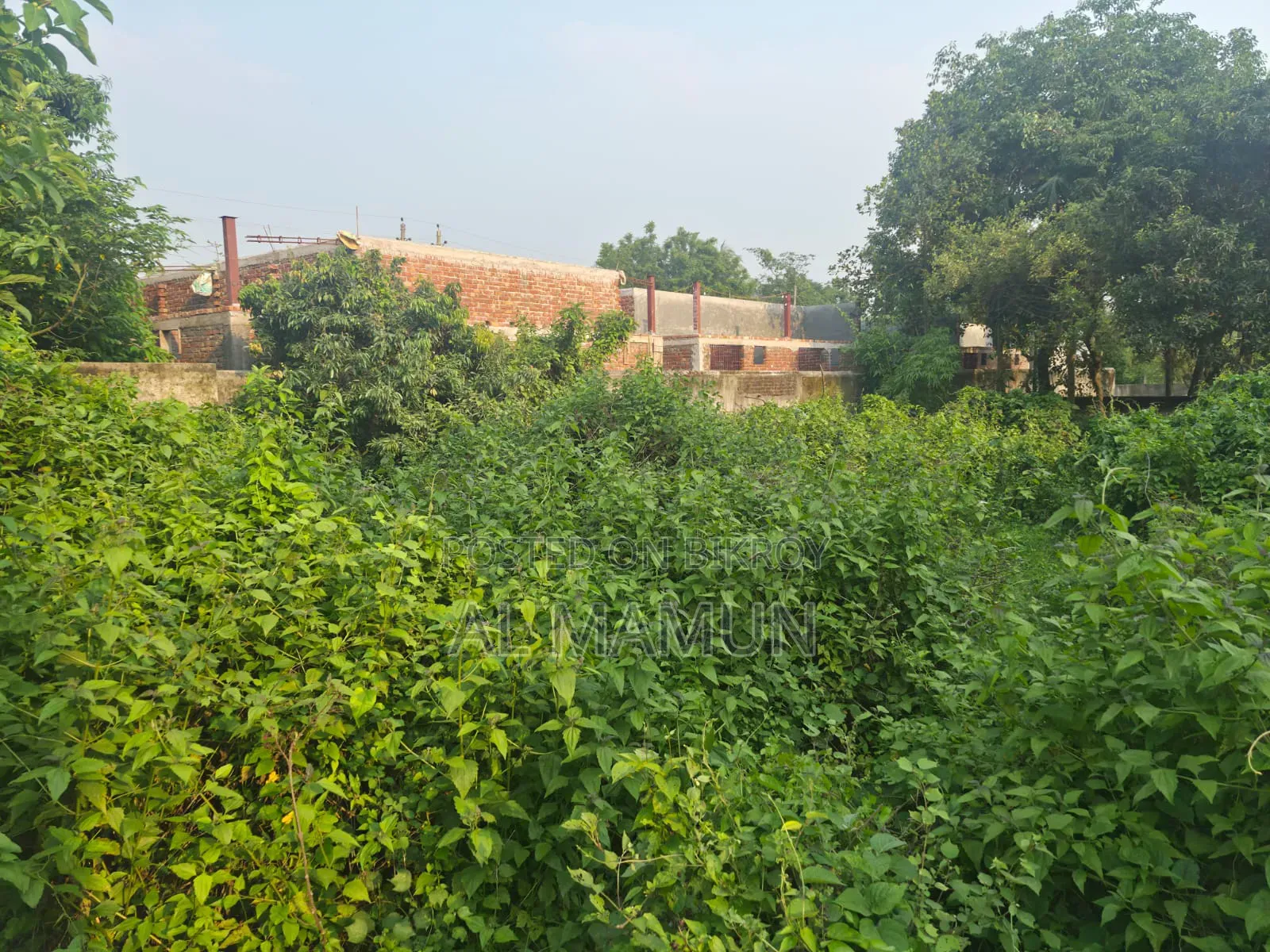 Plot Sale at Purbachal Sector-1