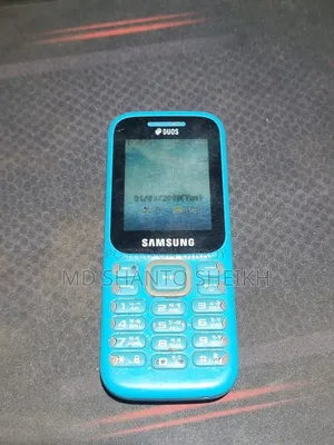 Samsung Guru Music 2