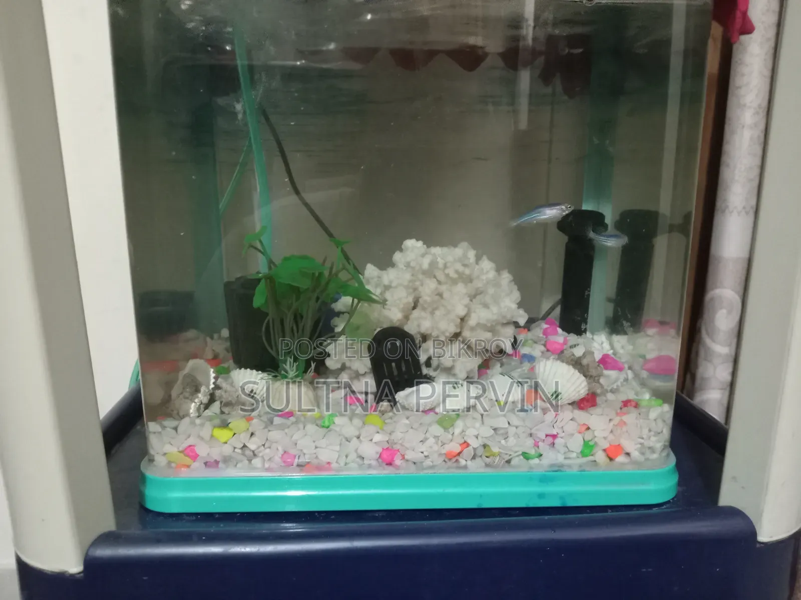 Aquarium Blue