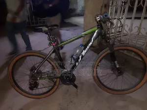 Upland Leader 300