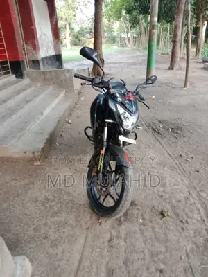 Bajaj Pulsar NS 160 2018 Black