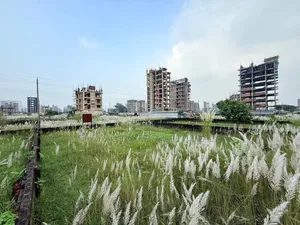 3 Katha North-Facing Plot for Sale in the Best Block of Bashundhara Residential