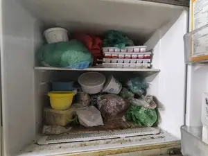 Hitachi Freeze