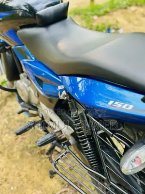 Bajaj Pulsar 150 2024 Blue