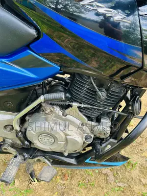 Bajaj Pulsar 150 2024 Blue