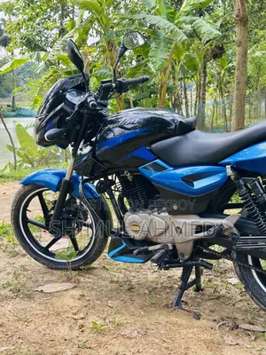 Bajaj Pulsar 150 2024 Blue