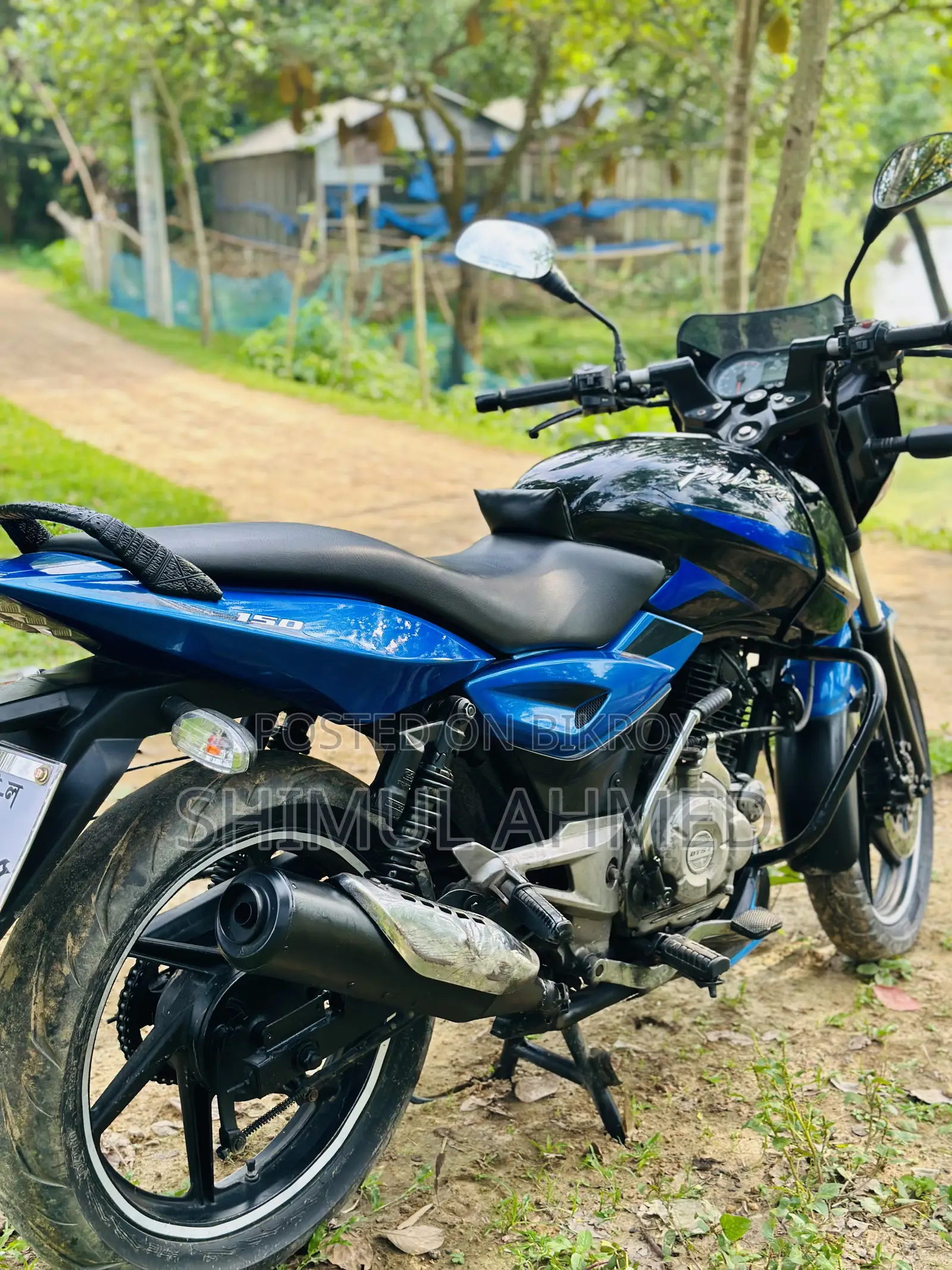 Bajaj Pulsar 150 2024 Blue