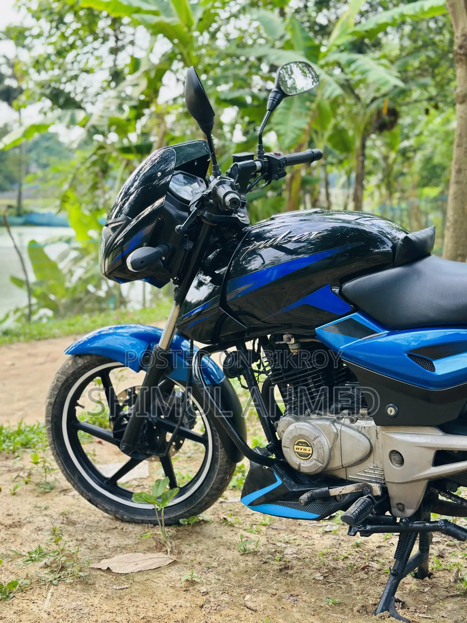 Bajaj Pulsar 150 2024 Blue