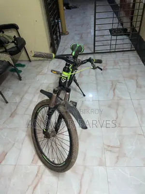 Express Bicycle Sale