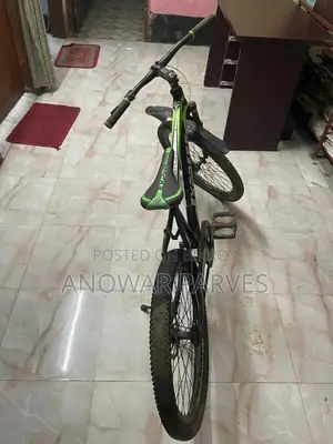 Express Bicycle Sale
