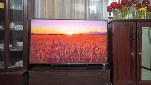 Sony Bravia 55-inch TV