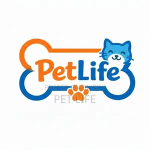 Female Social Media Executive