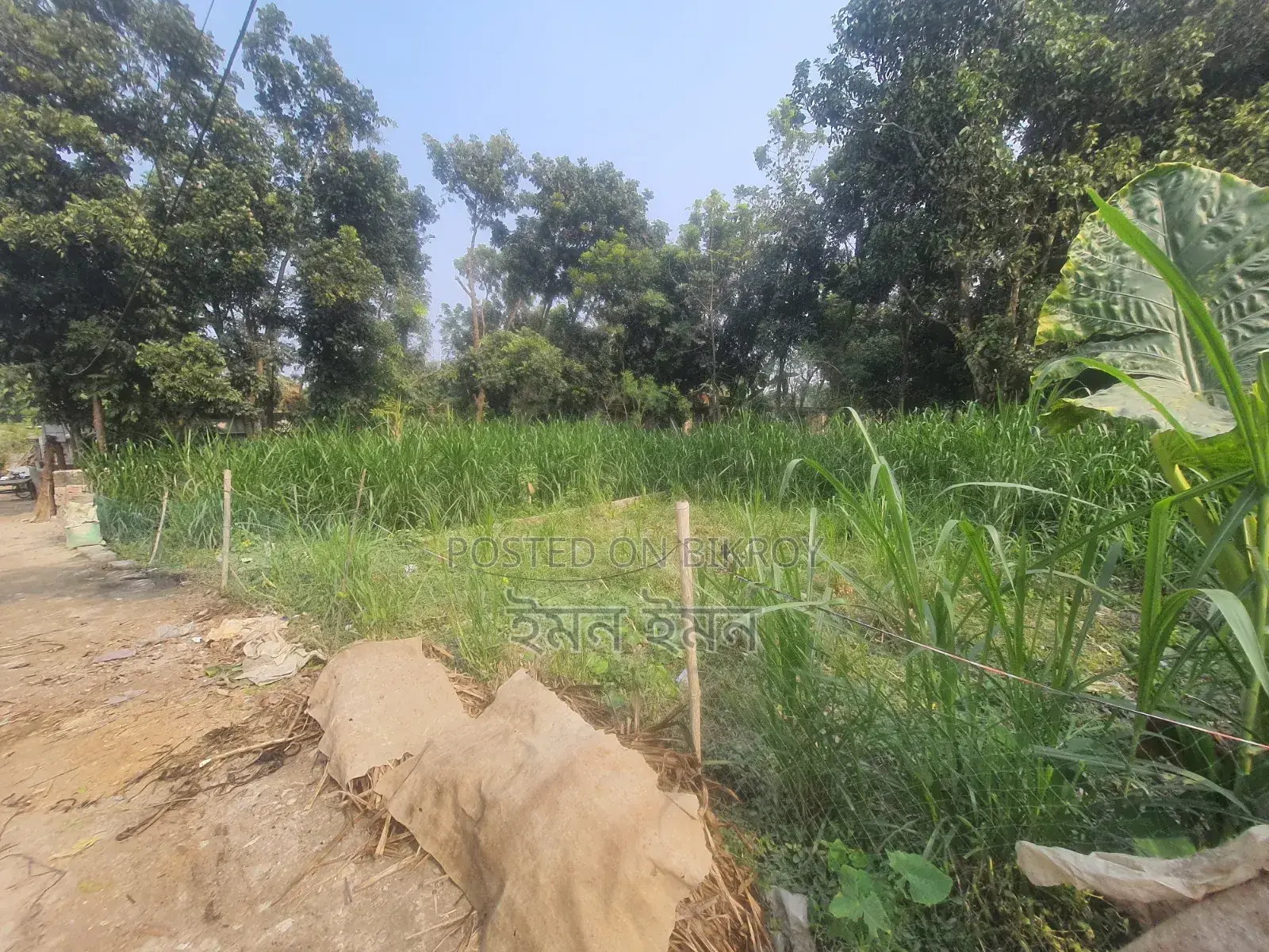 রাজশাহী লিলিহল মোড়ের পশ্চিমে দেলুয়াবাড়িতে আবাসিক মাটি