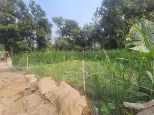 রাজশাহী লিলিহল মোড়ের পশ্চিমে দেলুয়াবাড়িতে আবাসিক মাটি