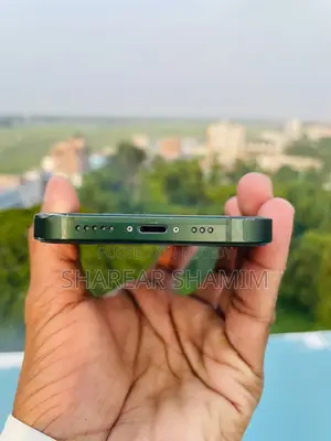 Apple iPhone 13 256 GB Green