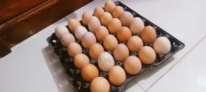 টাইগার মুরগির বীজ ডিম