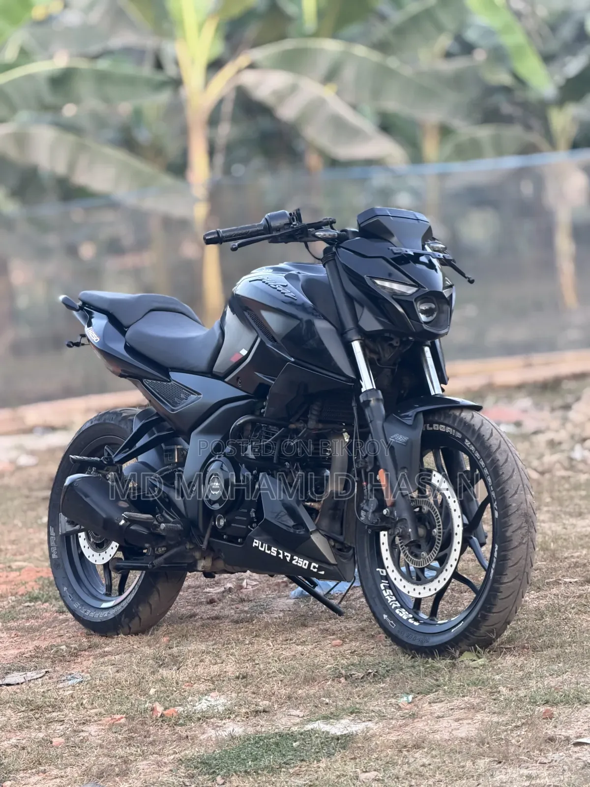 Bajaj Pulsar 250 2024 Black