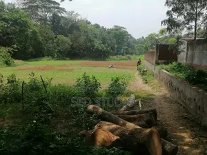 6 decimal land sell