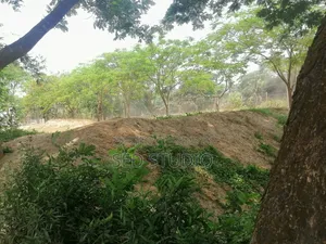 ৬ শতাংশ জমি বিক্রয়