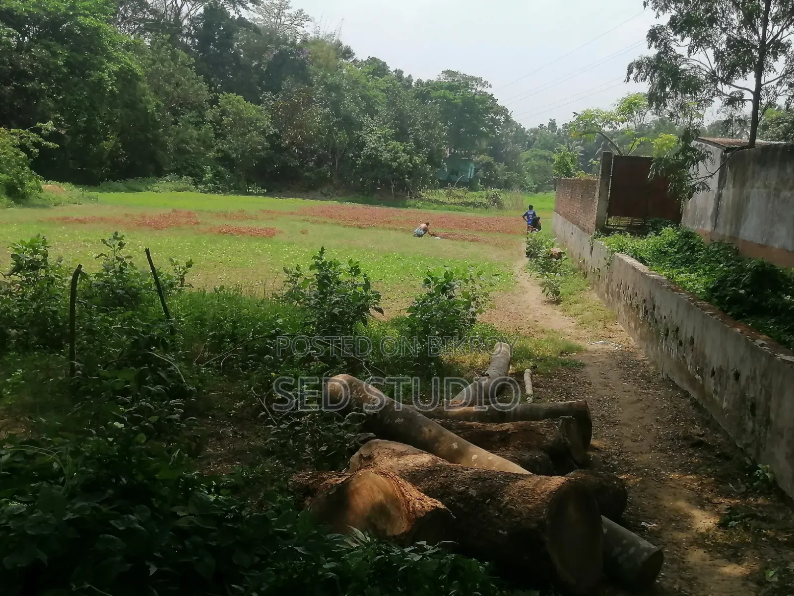 ৬ শতাংশ জমি বিক্রয়