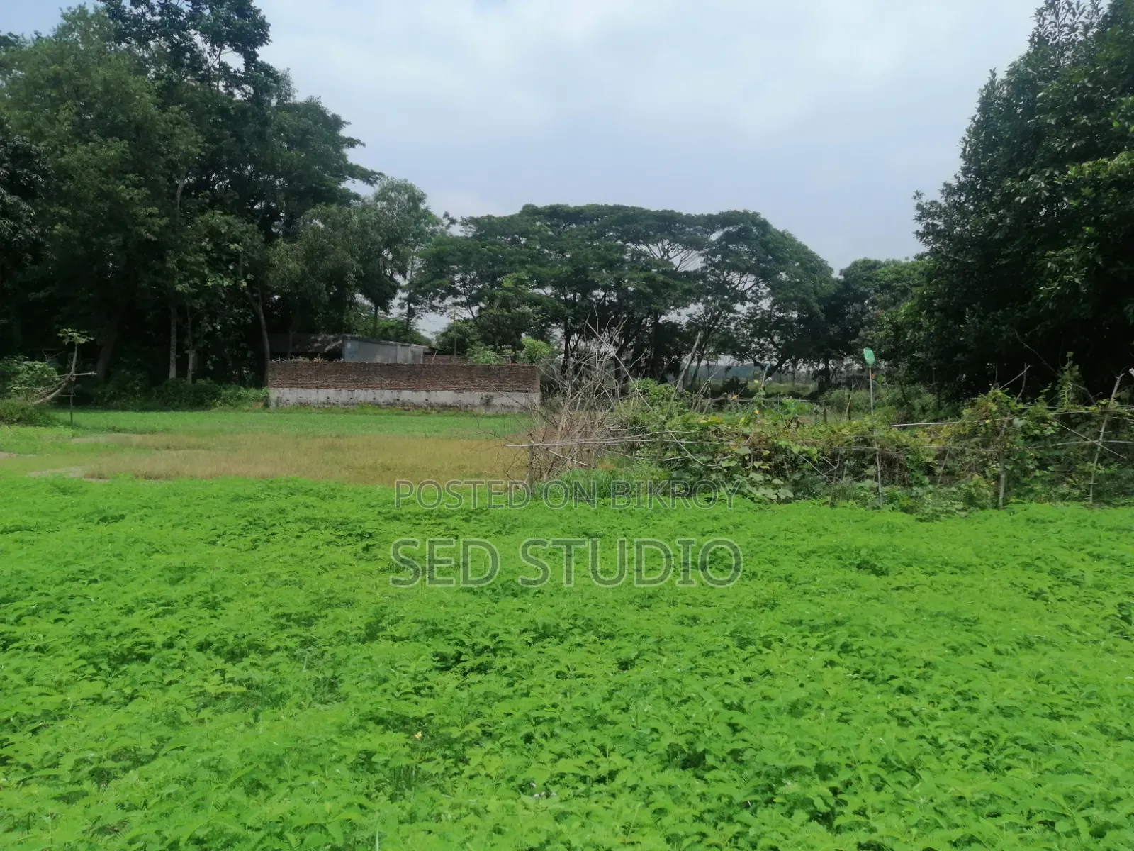 ৬ শতাংশ জমি বিক্রয়