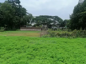 ৬ শতাংশ জমি বিক্রয়