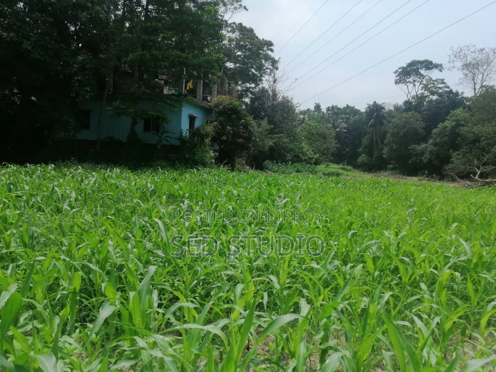 ৬ শতাংশ জমি বিক্রয়