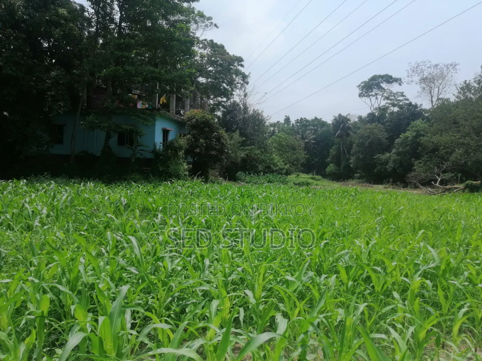 ৬ শতাংশ জমি বিক্রয়