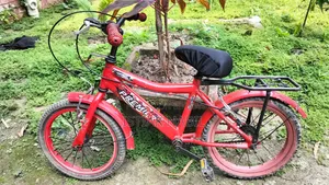 Kids' Bicycle for Sale