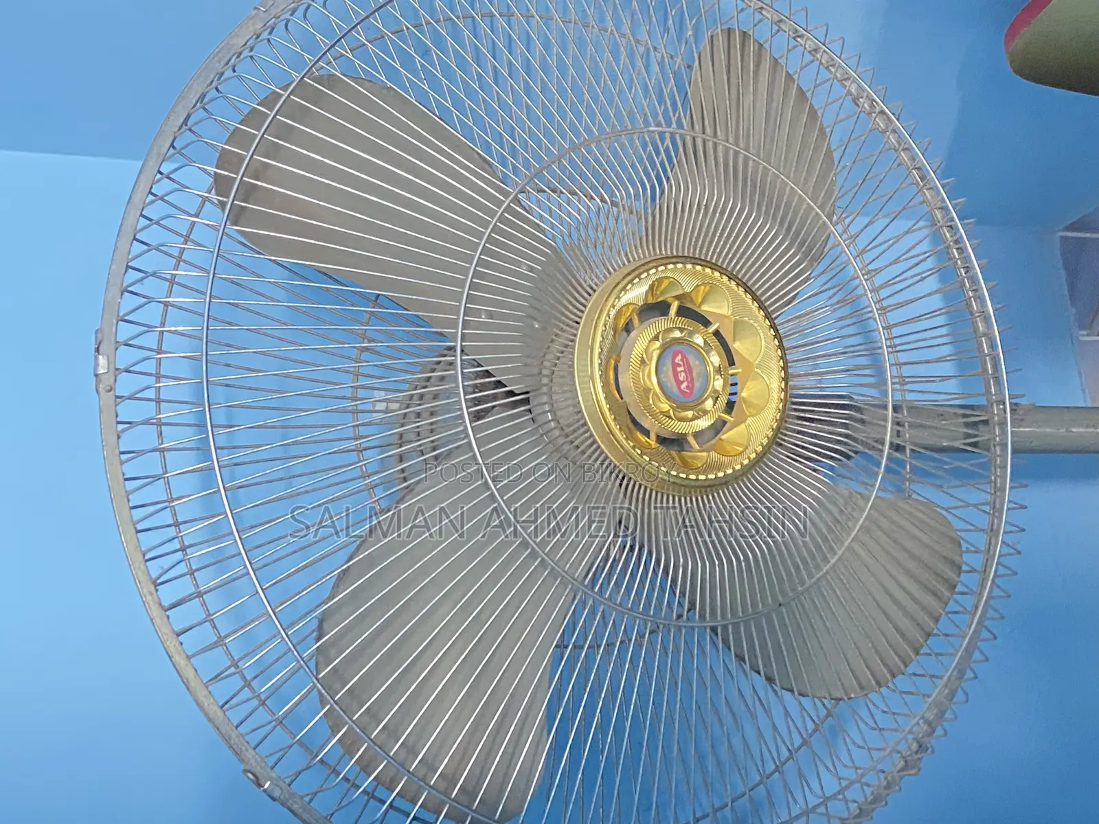 Asian Stand Fan