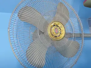 Asian Stand Fan