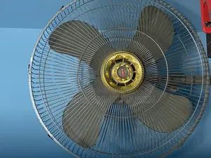 Asian Stand Fan