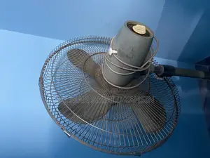 Asian Stand Fan