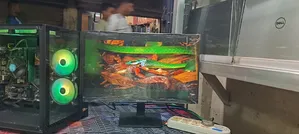 CyberpowerPC CyberPower Z790 I3 Configurator 8GB Intel Core I3 256GB