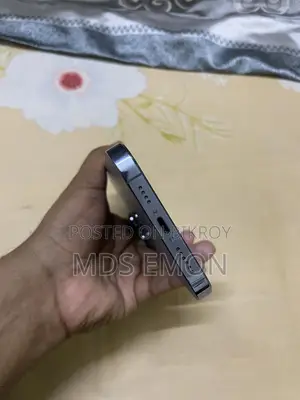 Apple iPhone 13 Pro Max 128 GB Gray