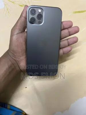 Apple iPhone 12 Pro 256 GB Gray