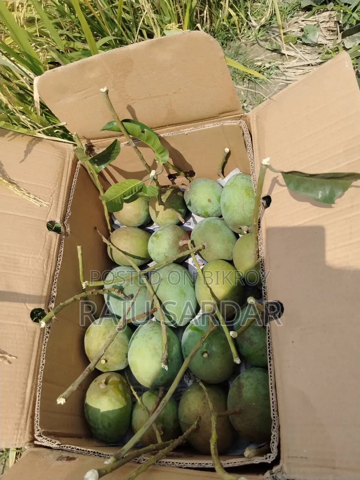 ফ্রেশ আমের ঠিকানা