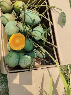ফ্রেশ আমের ঠিকানা