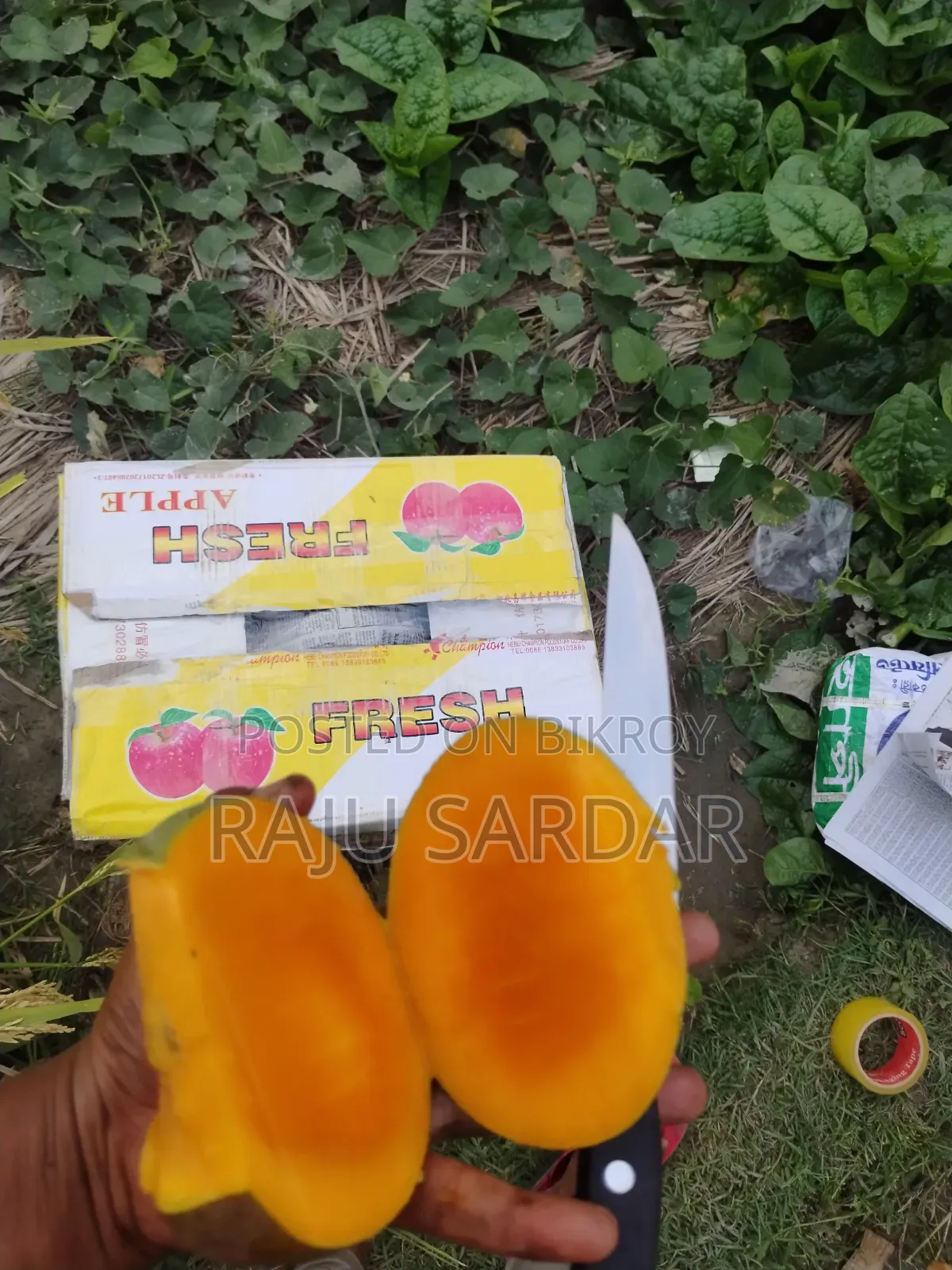 ফ্রেশ আমের ঠিকানা