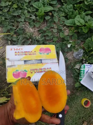 ফ্রেশ আমের ঠিকানা