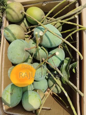 ফ্রেশ আমের ঠিকানা