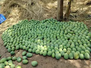 ফ্রেশ আমের ঠিকানা