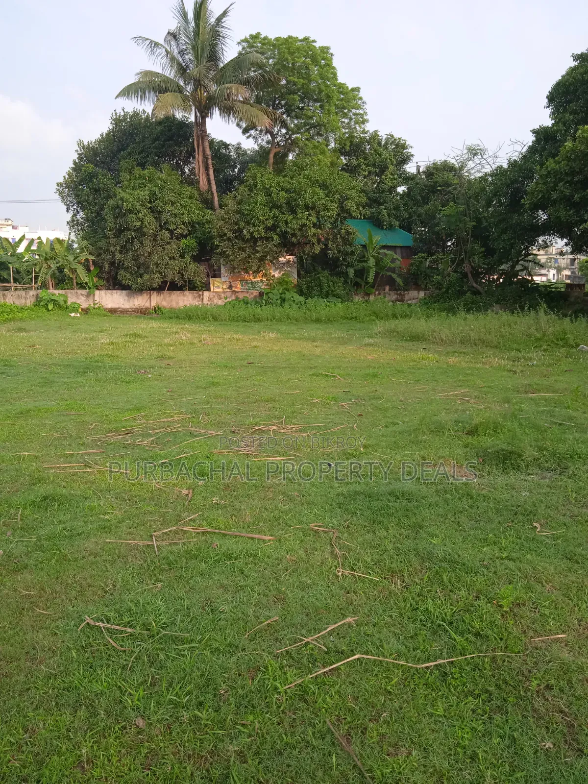 প্রকৃতির মাঝে শীতলক্ষ্যা নদী ভিউ ৩২ শতাংশ বাগান বাড়ির জমি বিক্রয় হবে