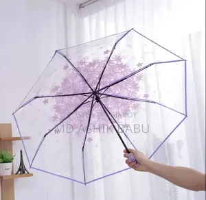Umbrella Transparent Cherry Blossom Folding Umbrella
 ম্যাজিক্যাল