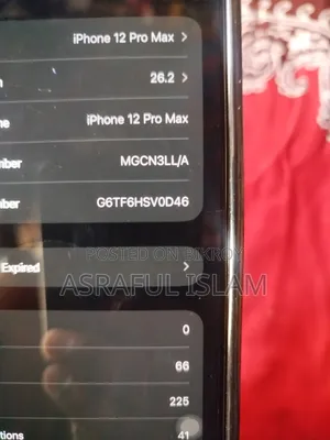 Apple iPhone 12 Pro Max 256 GB Blue