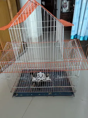 পাখির খাঁচা